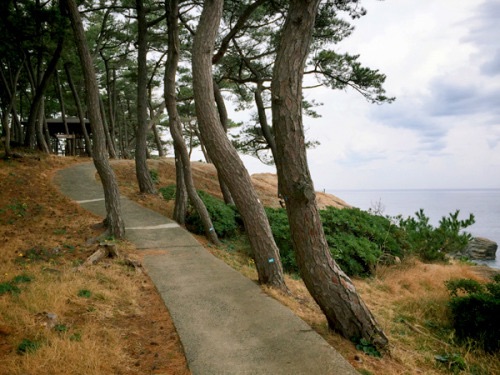 f:id:lulilala:20220610023612j:image