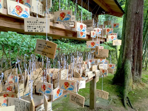 f:id:lulilala:20220610032911j:image f:id:lulilala:20220610032911j:image