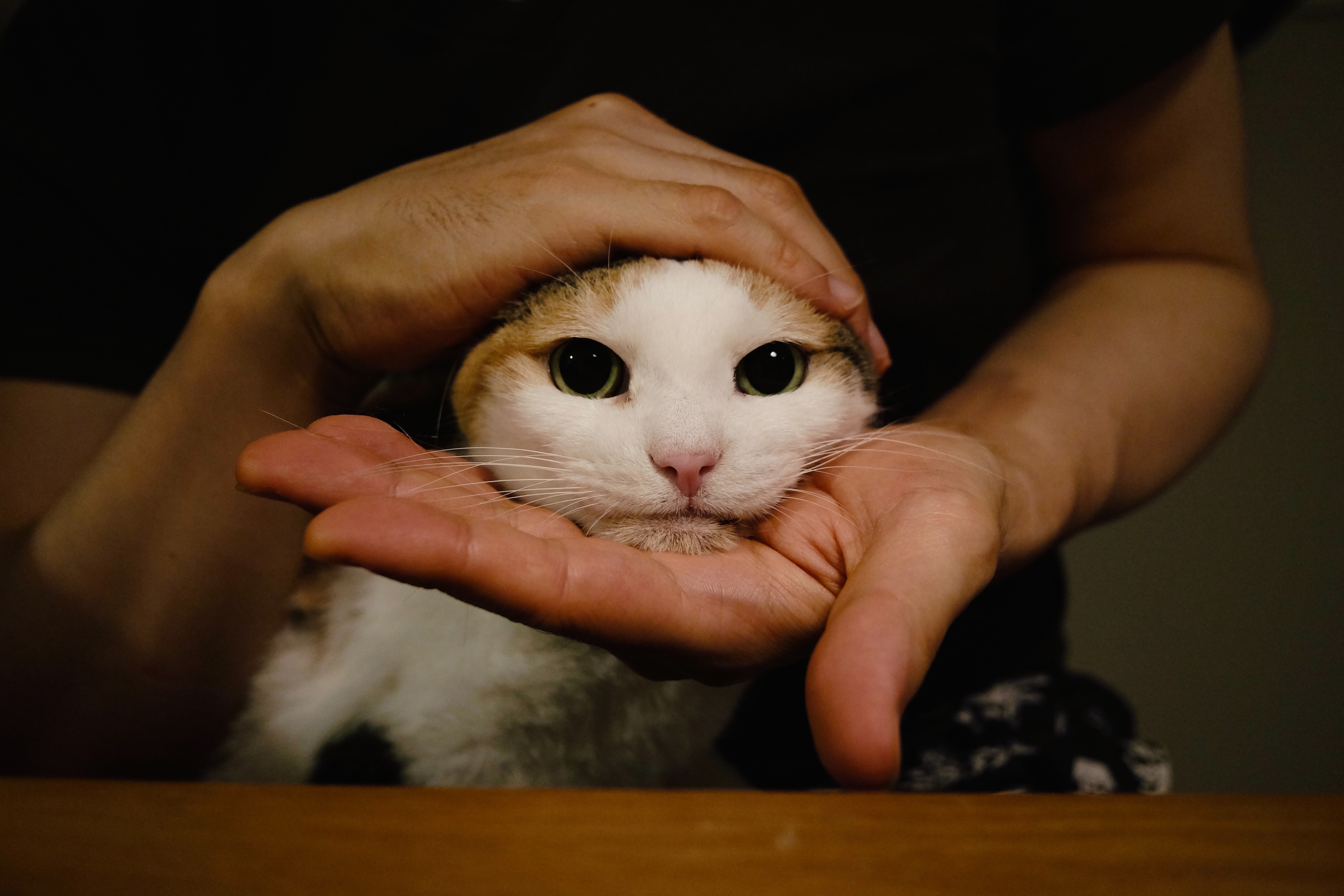 f:id:lulilala:20220612011821j:image