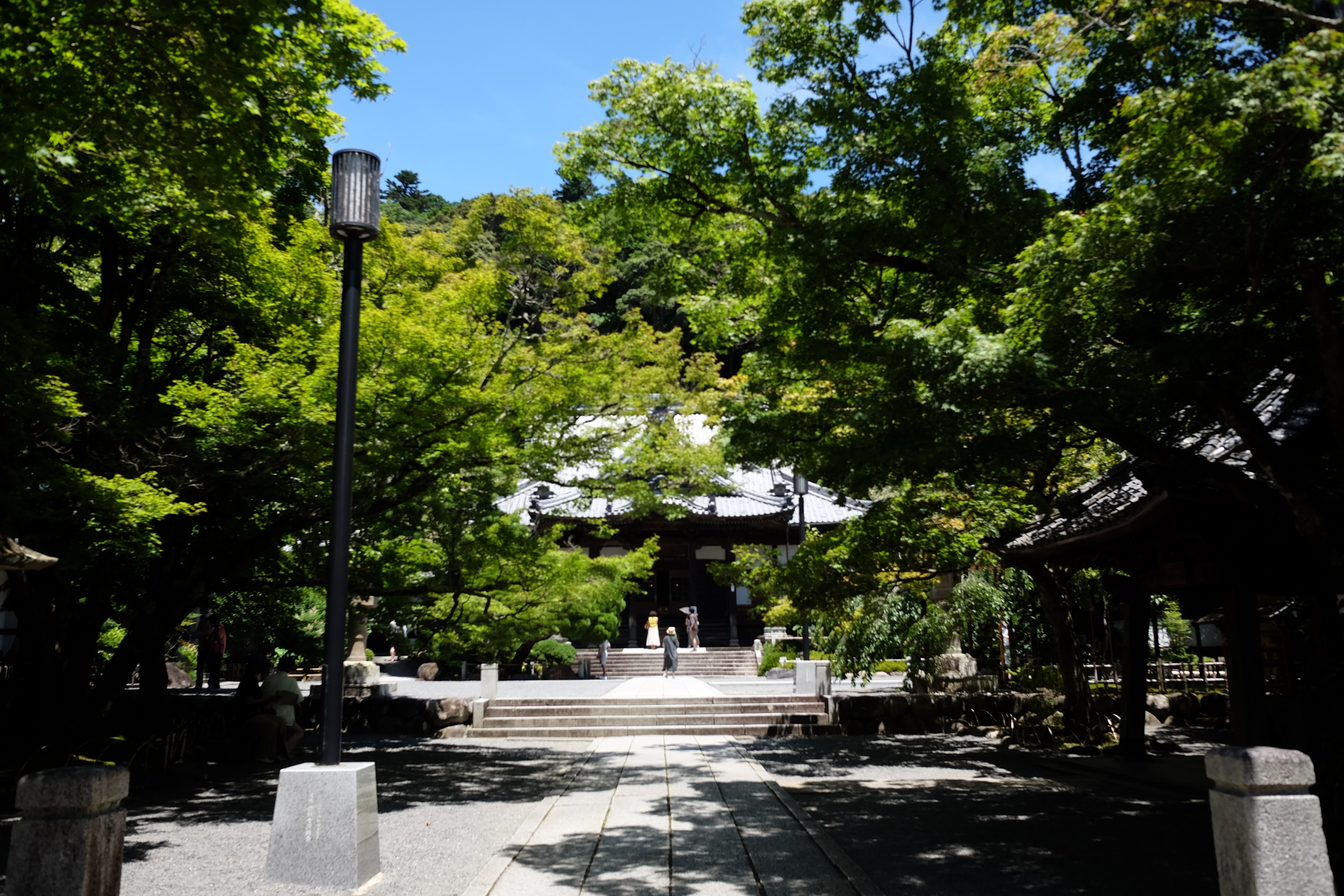 f:id:lulilala:20220701130000j:image f:id:lulilala:20220701130000j:image