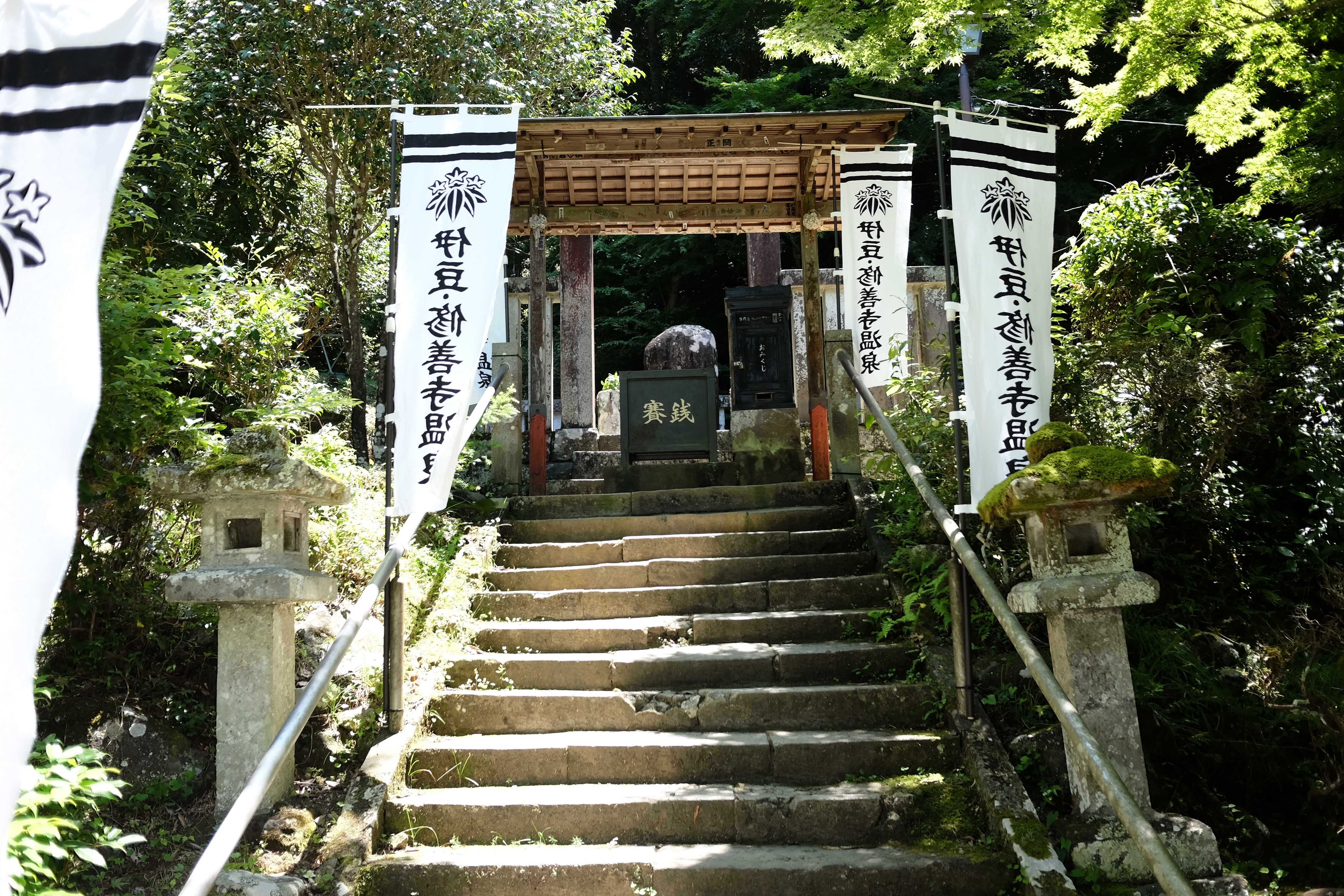 f:id:lulilala:20220701130329j:image f:id:lulilala:20220701130329j:image