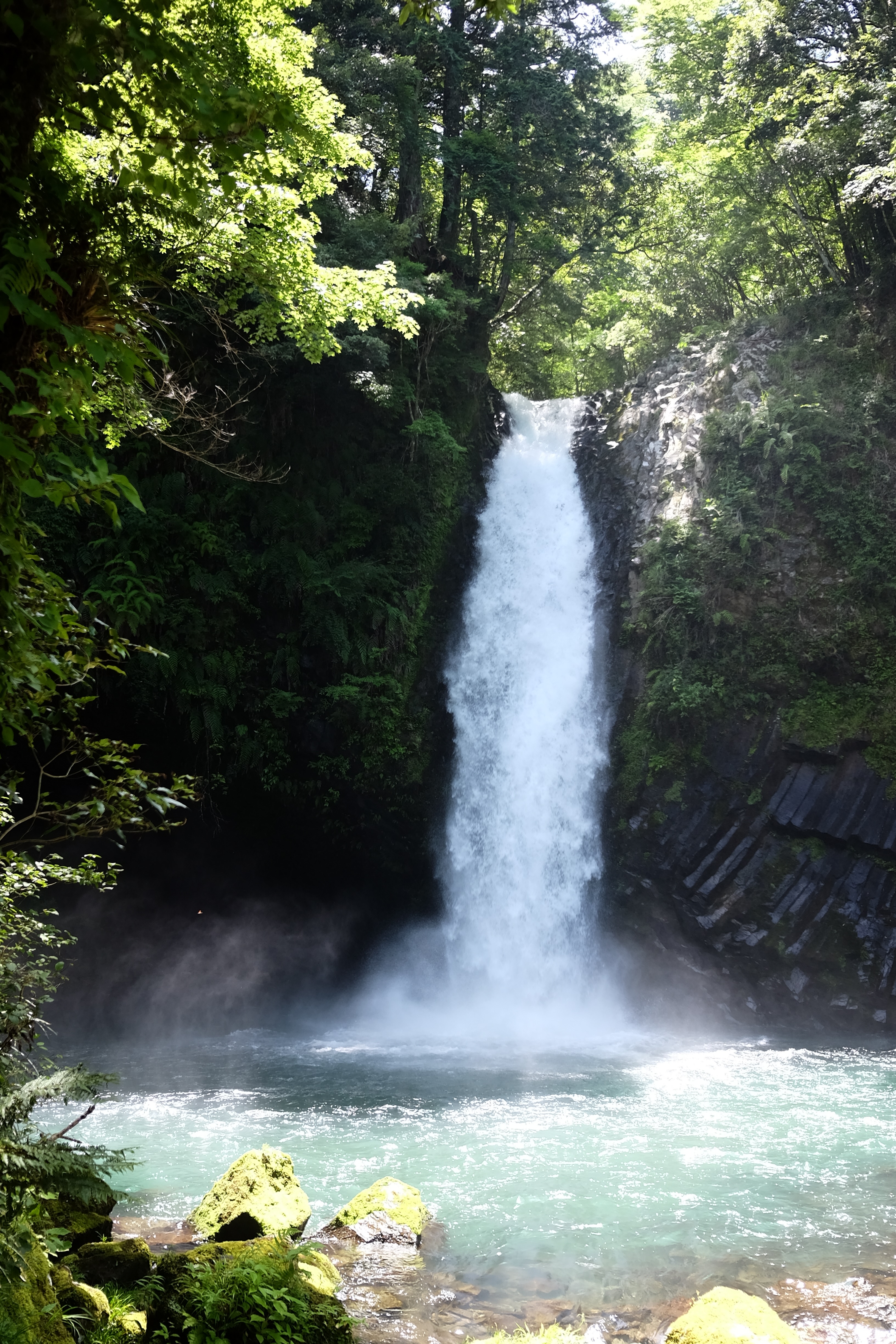 f:id:lulilala:20220701130819j:image f:id:lulilala:20220701130819j:image