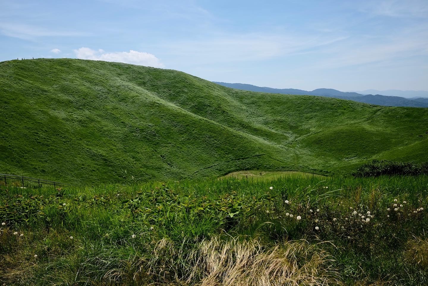 f:id:lulilala:20220702000918j:image f:id:lulilala:20220702000918j:image