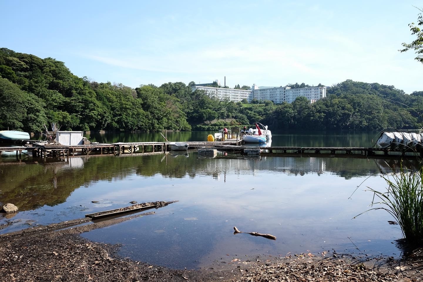 f:id:lulilala:20220702002145j:image