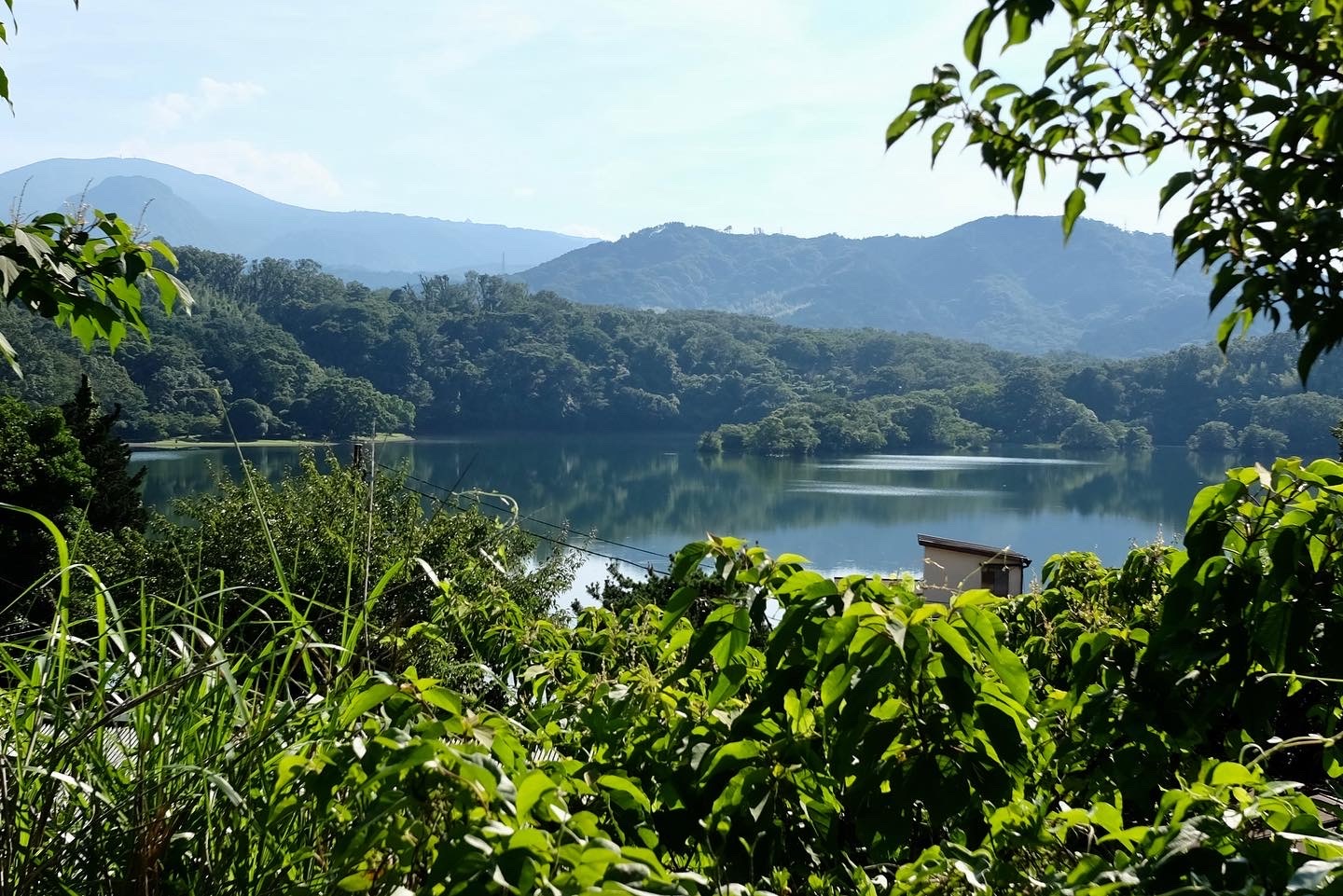 f:id:lulilala:20220702002152j:image