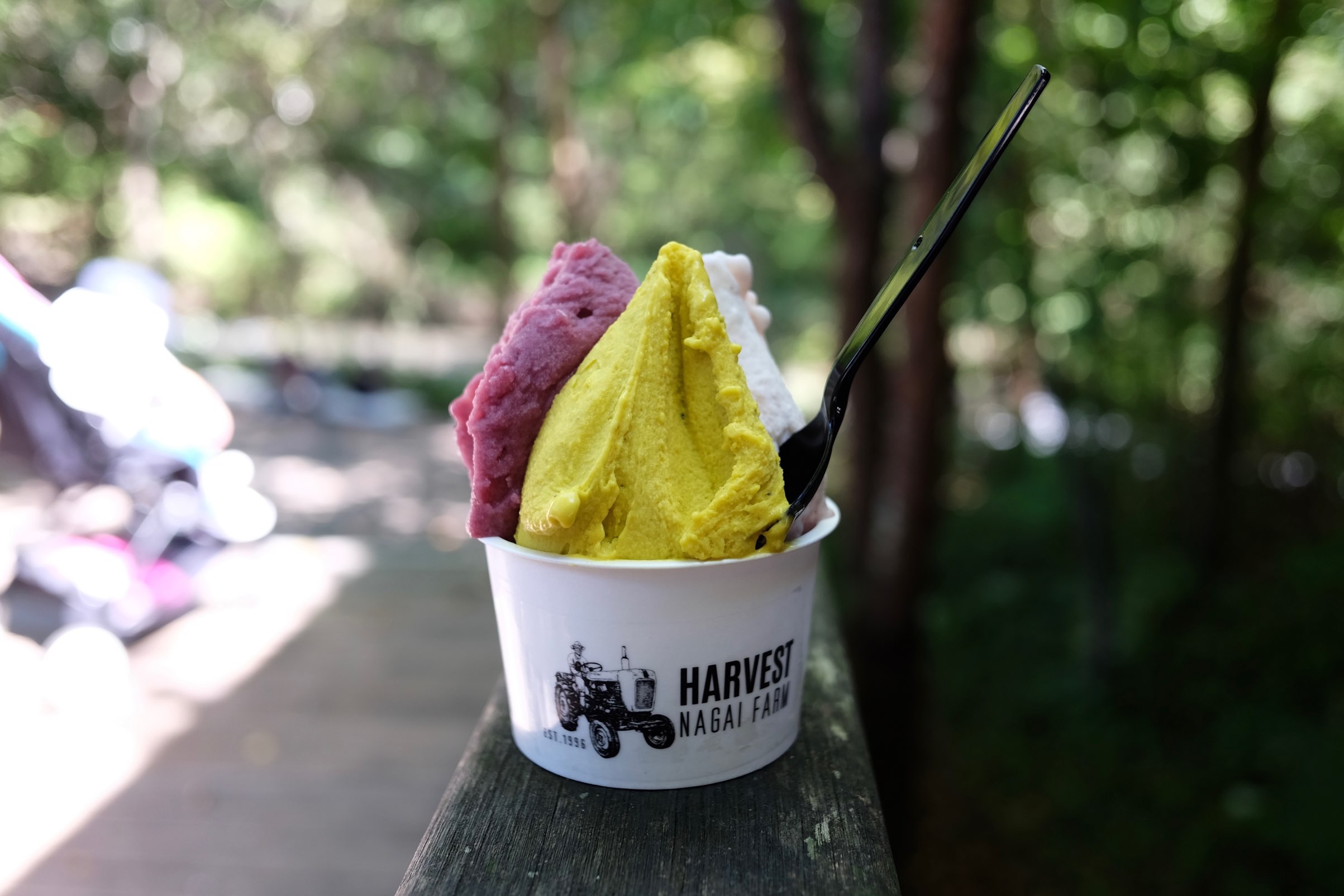 f:id:lulilala:20220926231431j:image f:id:lulilala:20220926231431j:image