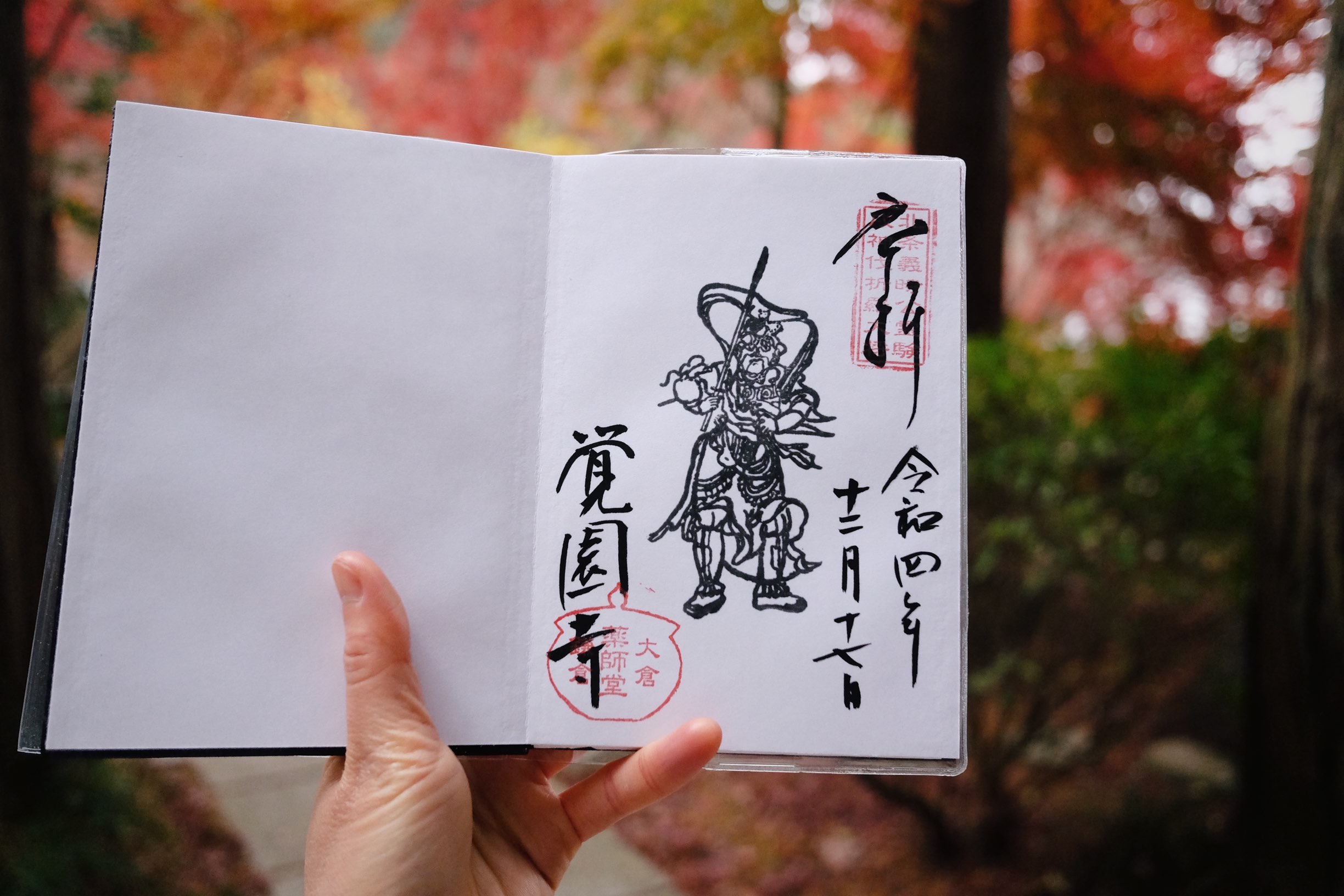 f:id:lulilala:20221217234543j:image