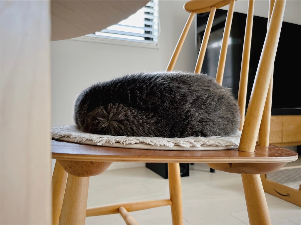 f:id:lulilala:20230829103534j:image f:id:lulilala:20230829103534j:image