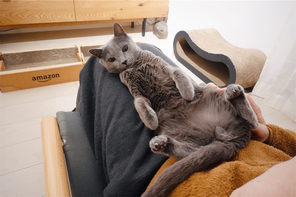 f:id:lulilala:20240301000929j:image f:id:lulilala:20240301000929j:image