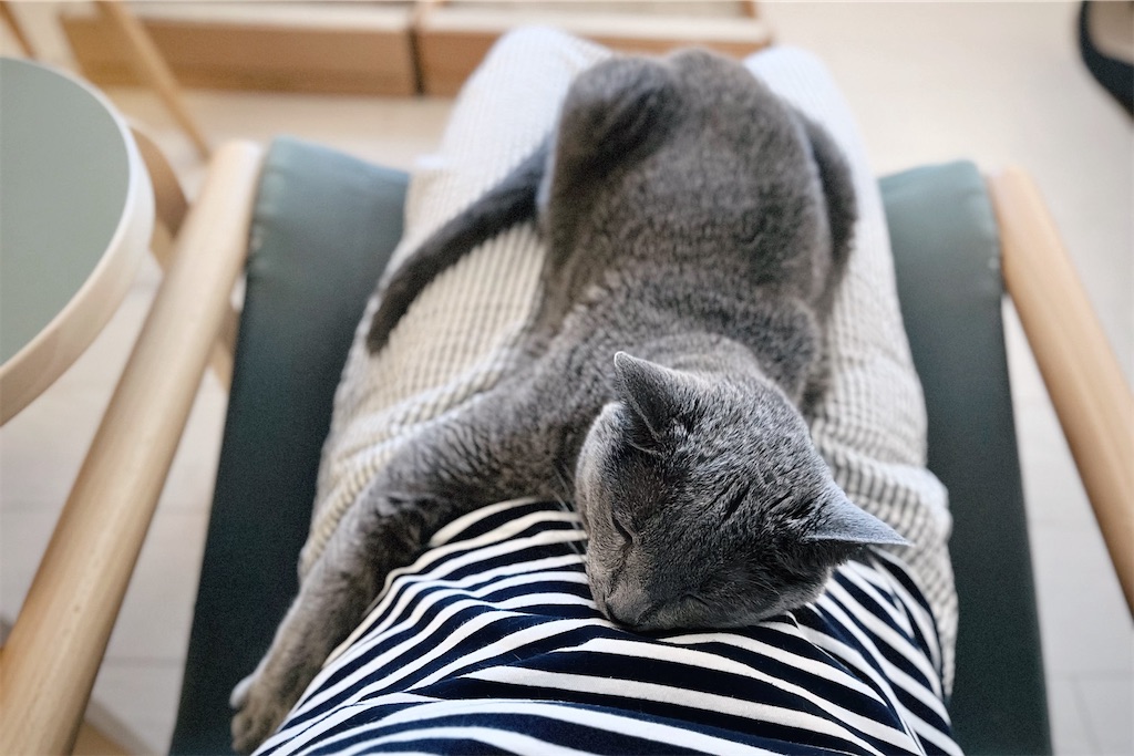 f:id:lulilala:20240512235511j:image