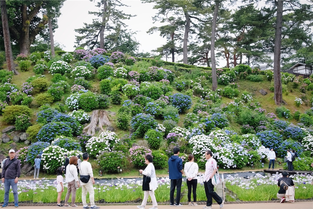 f:id:lulilala:20240610005233j:image f:id:lulilala:20240610005233j:image