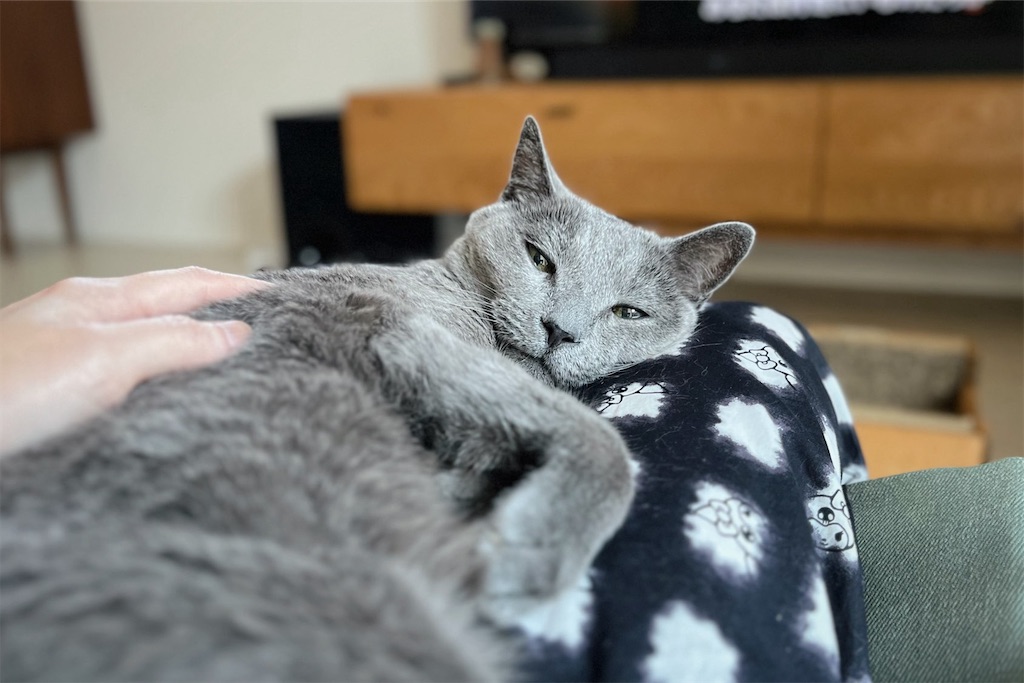 f:id:lulilala:20240614205118j:image