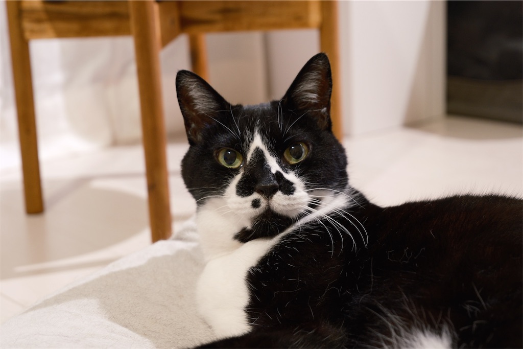 f:id:lulilala:20240628232726j:image