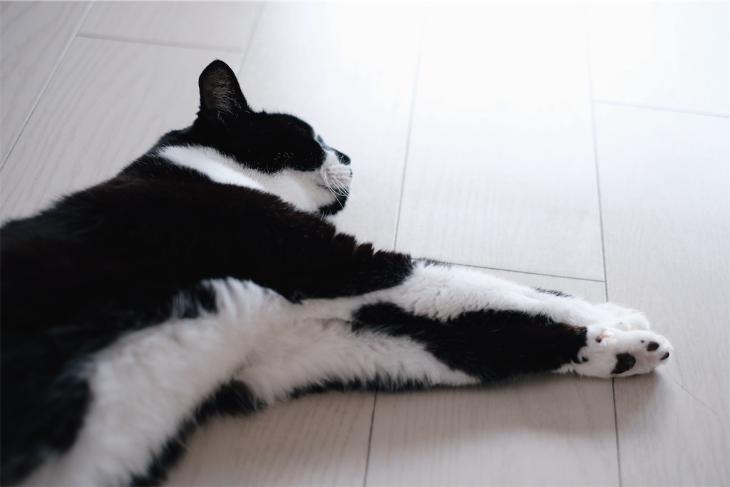 f:id:lulilala:20241010182207j:image f:id:lulilala:20241010182207j:image