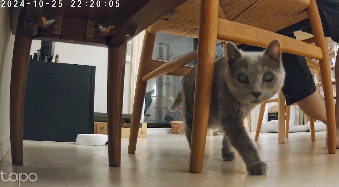 f:id:lulilala:20241025231410j:image f:id:lulilala:20241025231410j:image