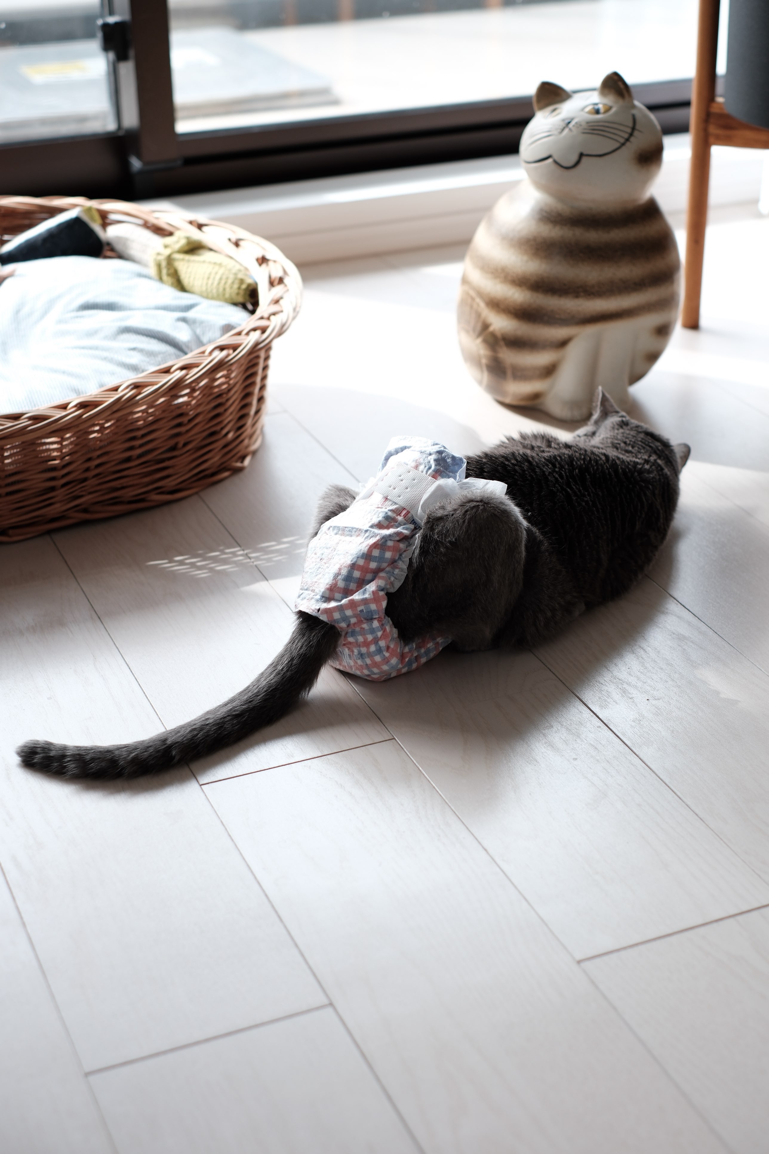 f:id:lulilala:20251113134534j:image f:id:lulilala:20251113134534j:image