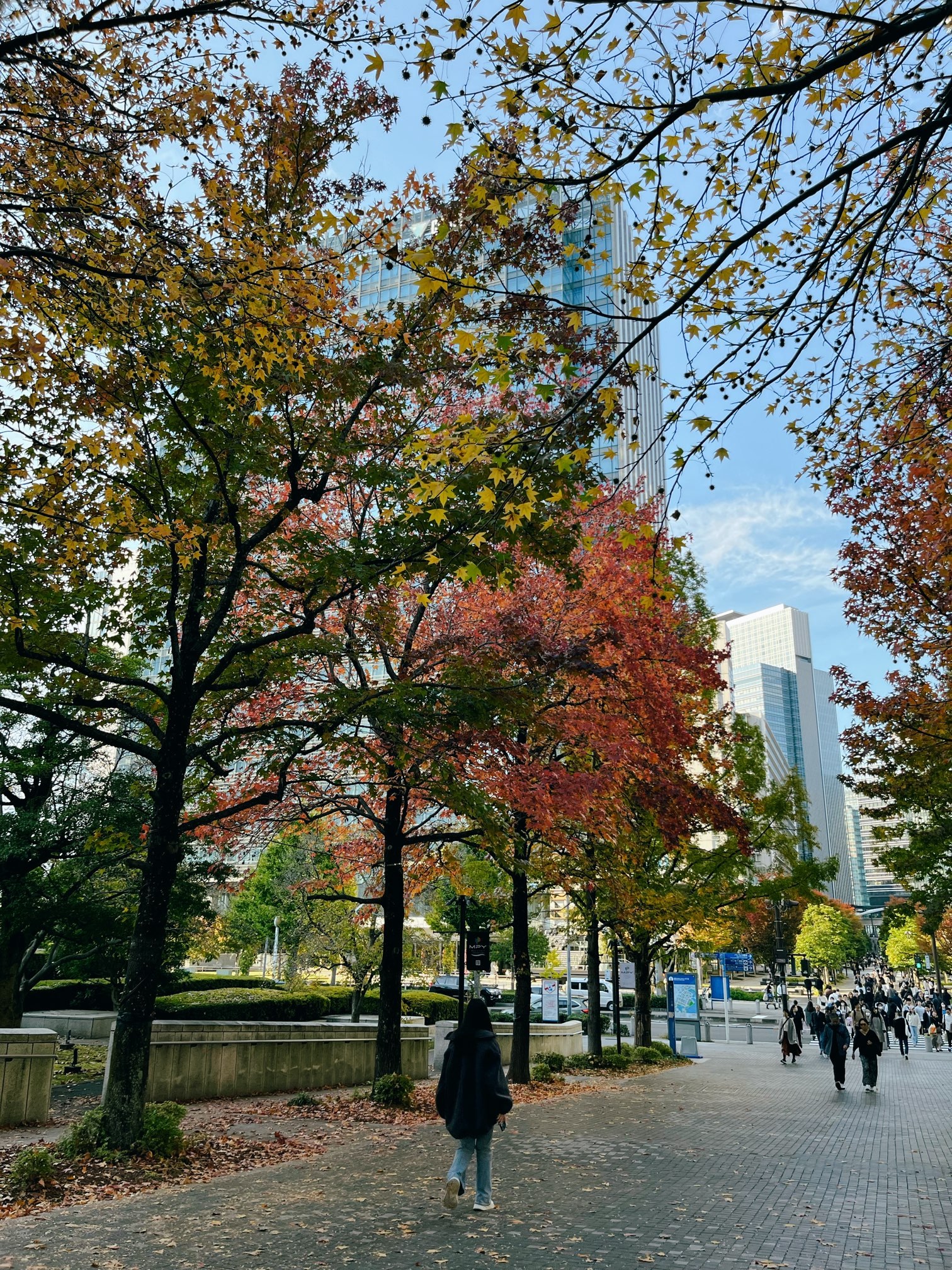 f:id:lulilala:20251115235613j:image f:id:lulilala:20251115235613j:image