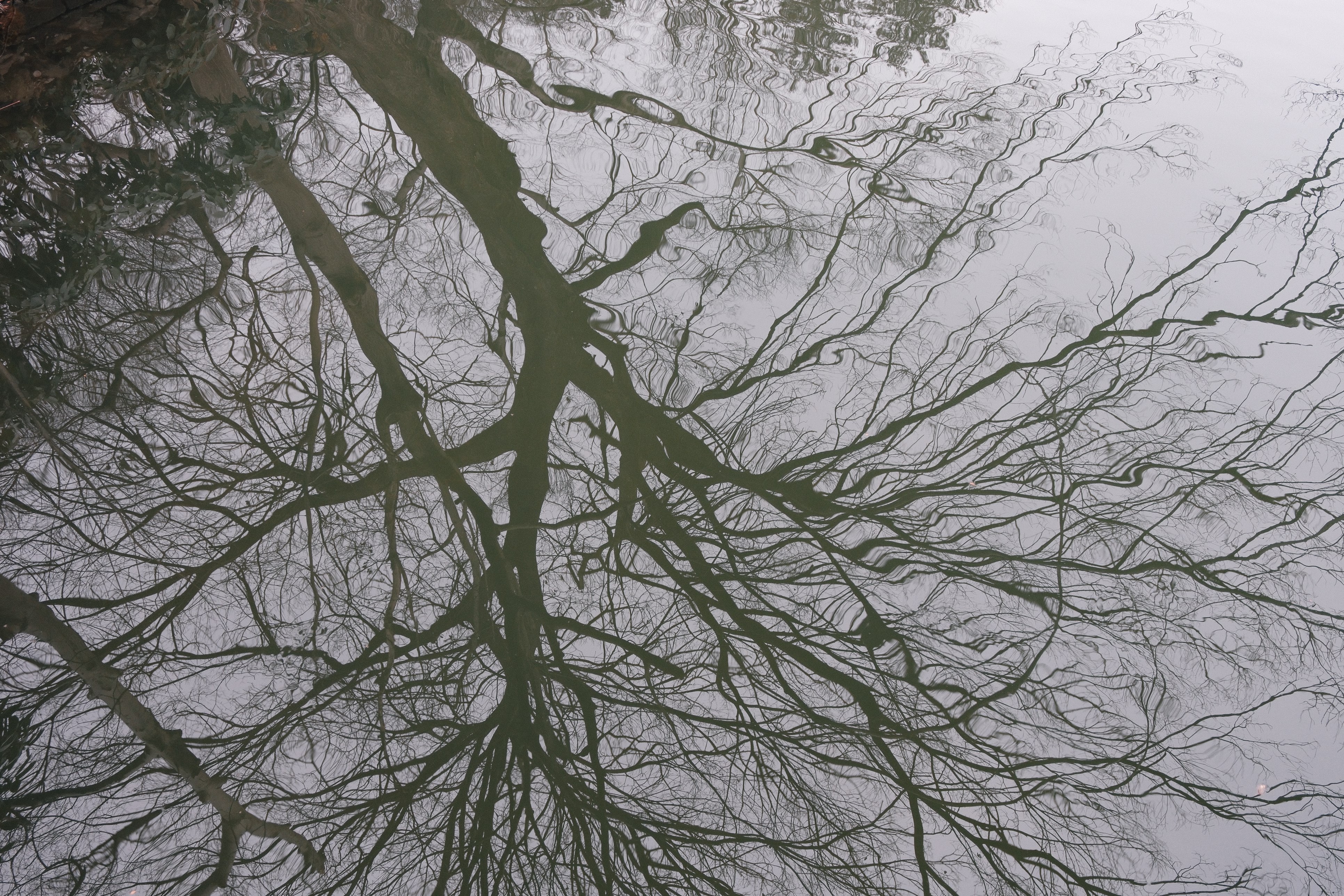 f:id:lulilala:20260212004026j:image