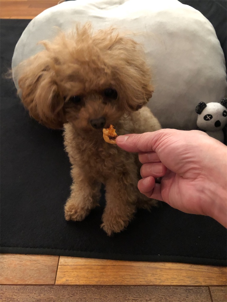 Lu ちゃん 今日は何を選ぶの 我が家の夕食 Lululuのluce