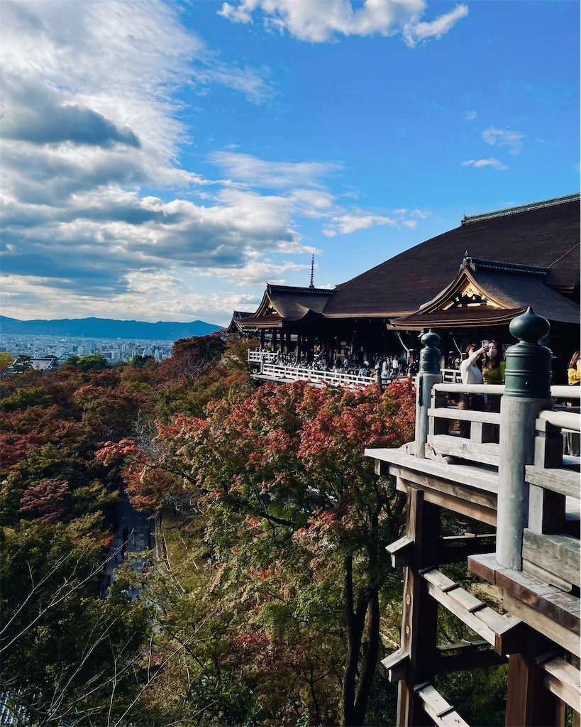 f:id:lulu_bataille:20211108082326j:image