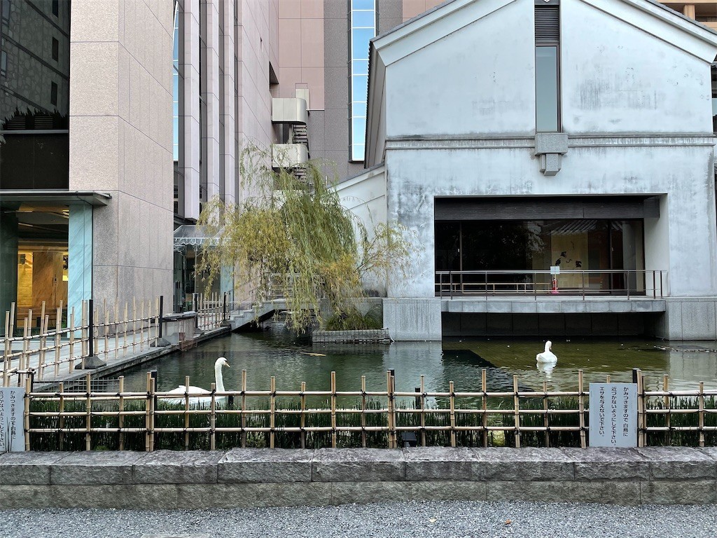 f:id:lulu_bataille:20211108082516j:image