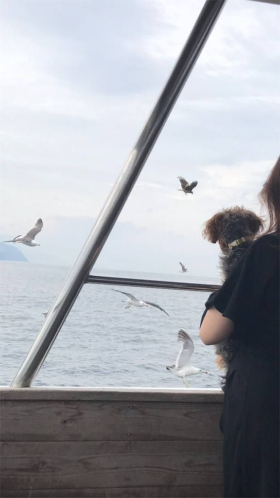 f:id:lululognk:20190801111313p:image