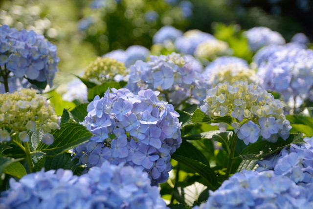 f:id:lulululalala:20190506151027j:plain f:id:lulululalala:20190506151027j:plain