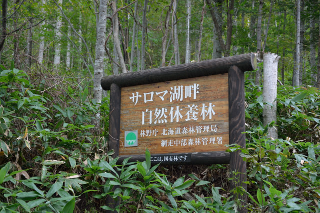 f:id:lulululalala:20191008002746j:plain f:id:lulululalala:20191008002746j:plain