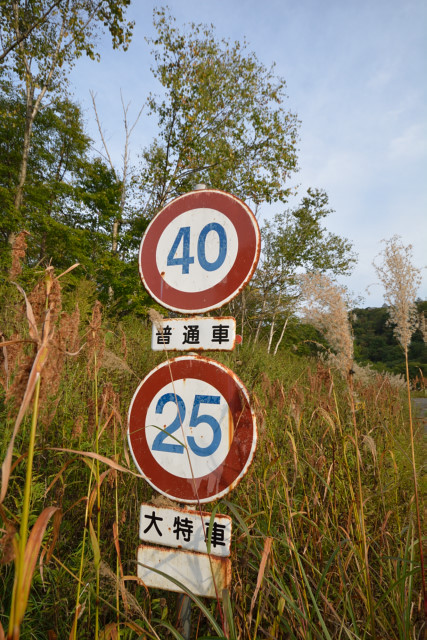 f:id:lulululalala:20200114000445j:plain f:id:lulululalala:20200114000445j:plain