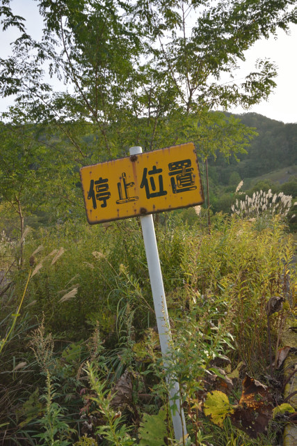 f:id:lulululalala:20200114000449j:plain f:id:lulululalala:20200114000449j:plain