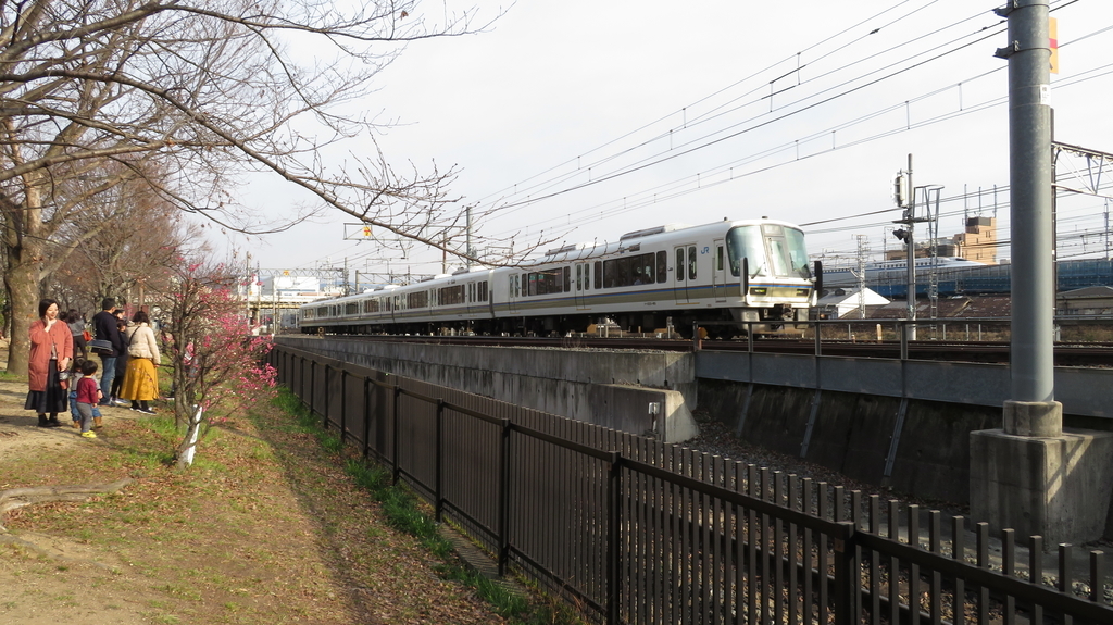 f:id:lulurararail:20190225001756j:plain