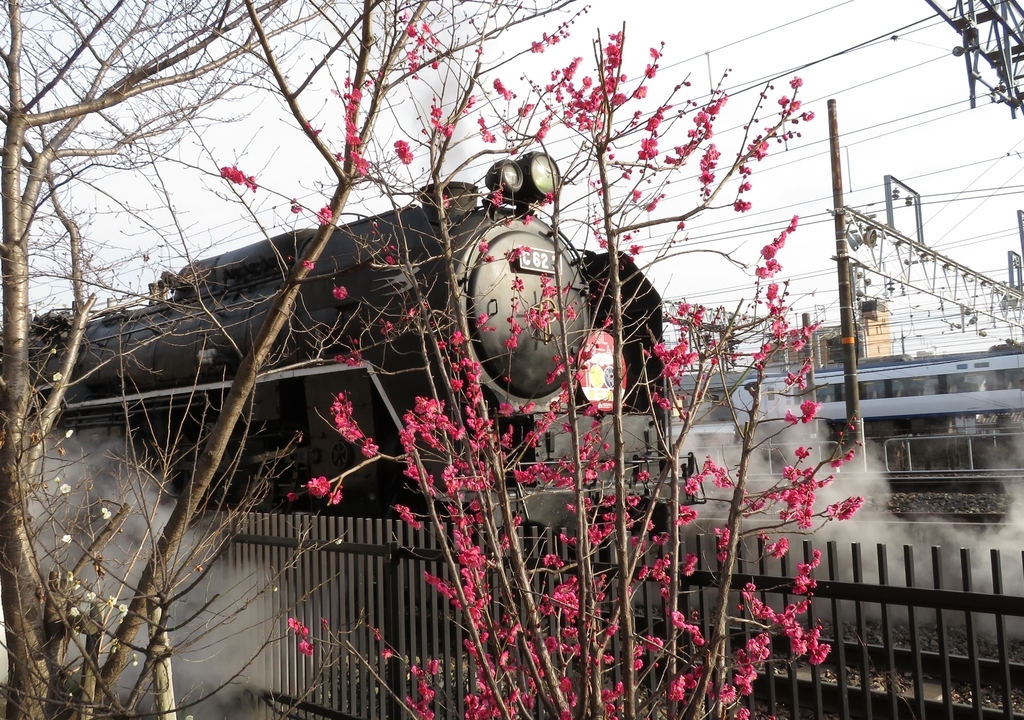 f:id:lulurararail:20190225002057j:plain