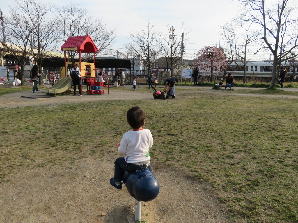 f:id:lulurararail:20190225002230j:plain