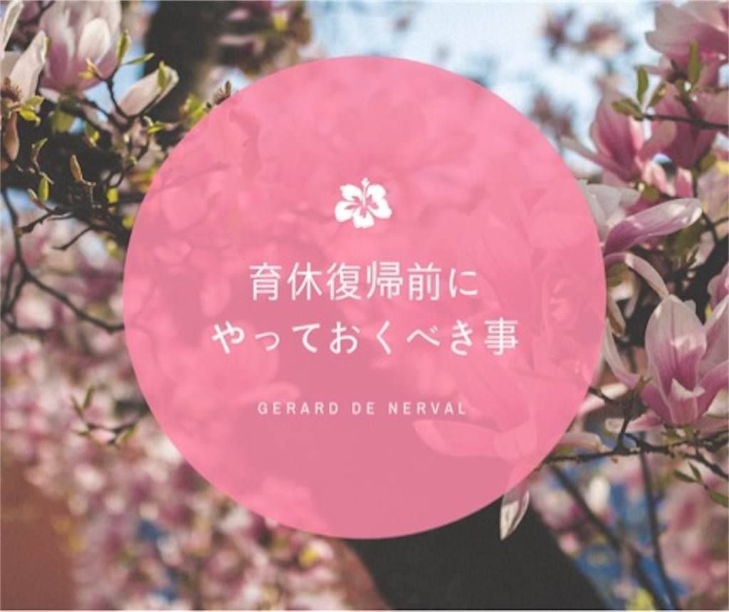 f:id:luluuu:20190106092046j:image f:id:luluuu:20190106092046j:image