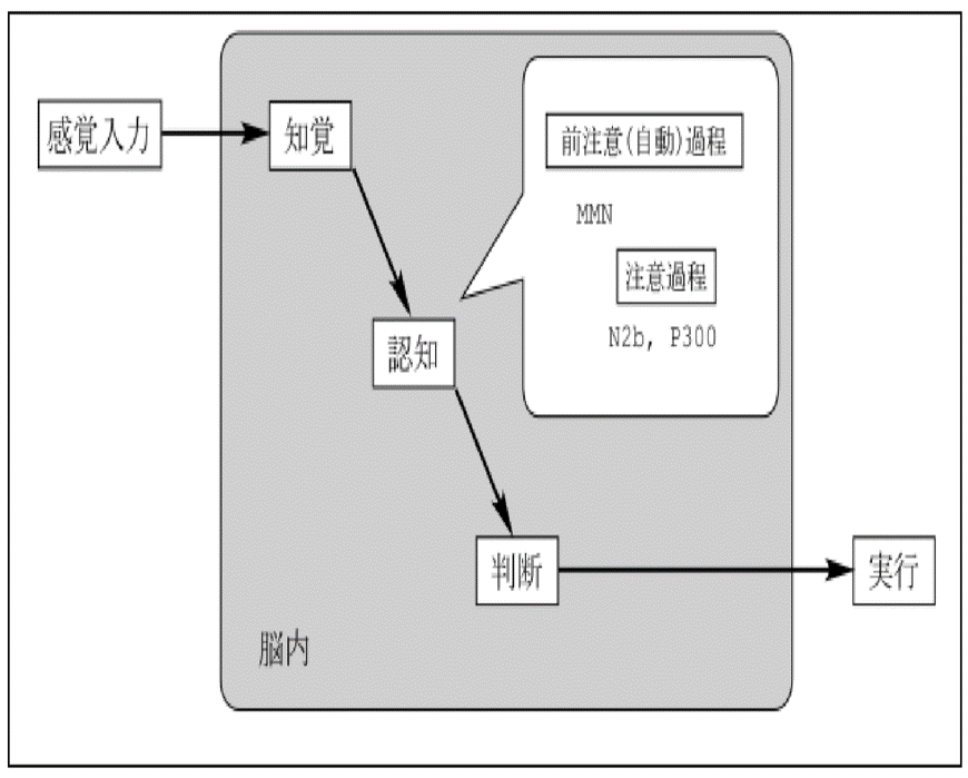 視覚情報処理について Sports News