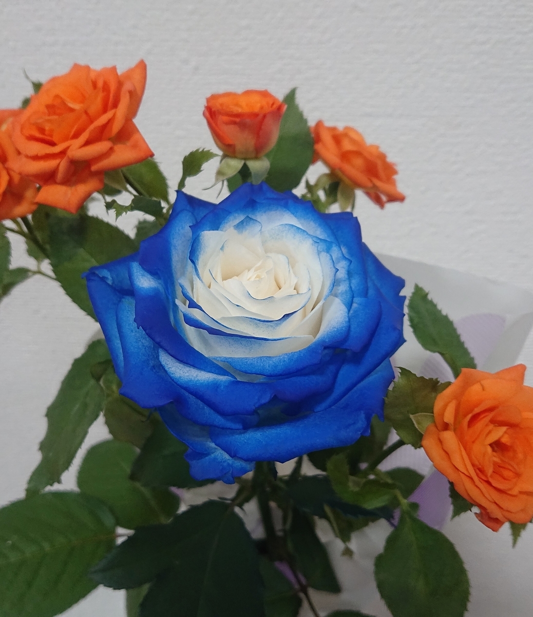 f:id:luminare0911:20190729110141j:plain
