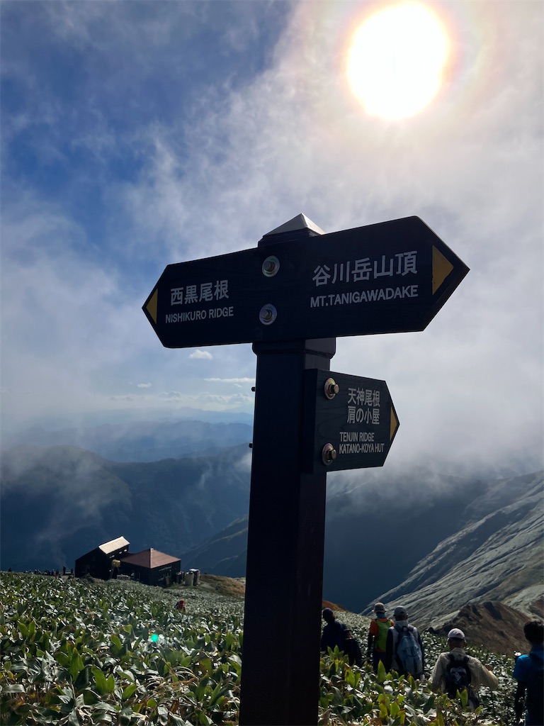 f:id:luminousark:20241019133318j:image