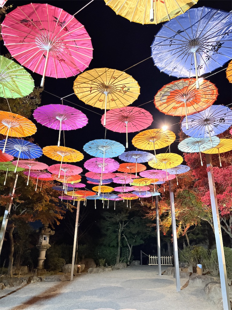 f:id:luminousark:20251125083312j:image