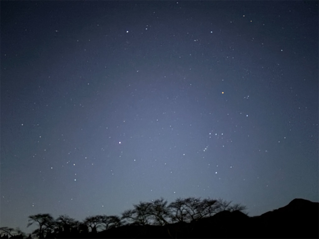 f:id:luminousark:20251125083323j:image