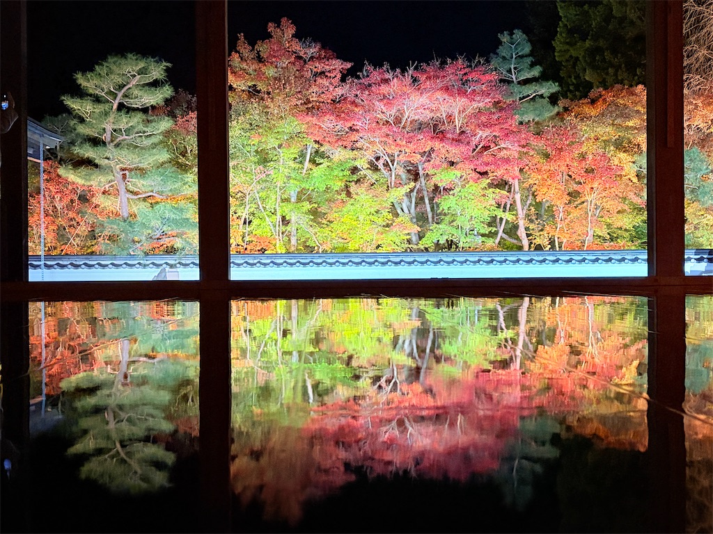 f:id:luminousark:20251125083334j:image