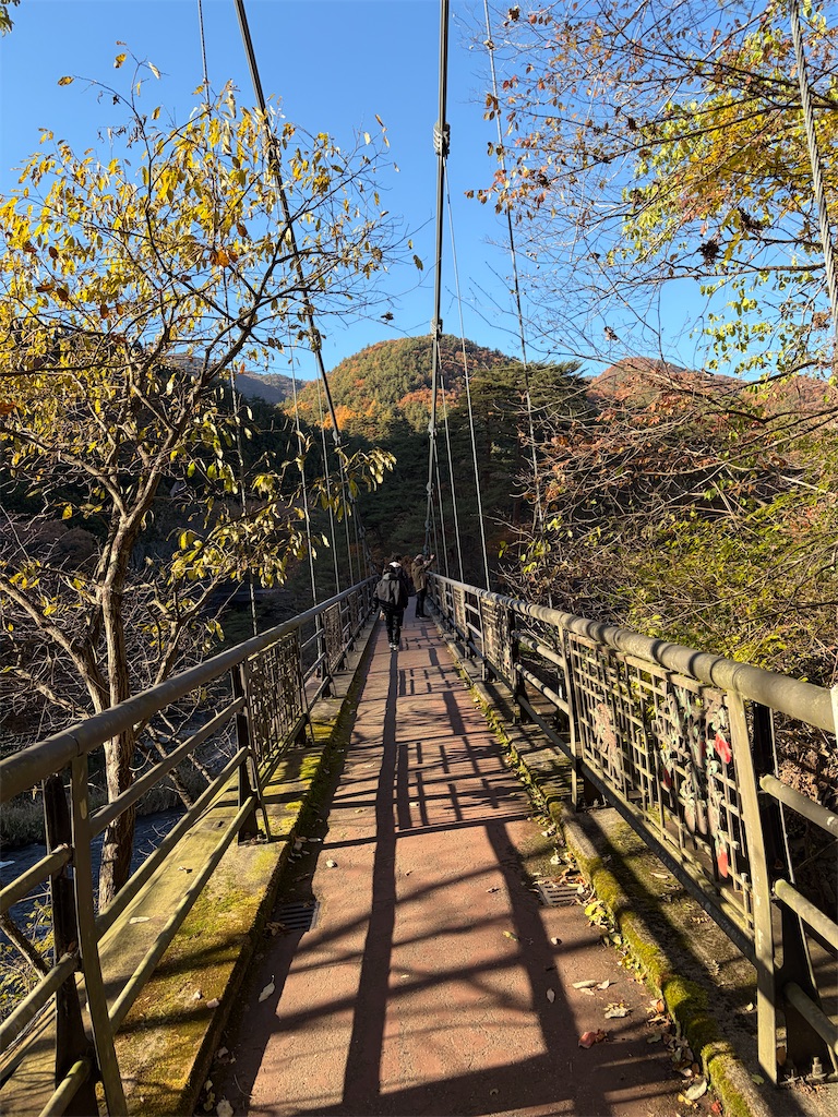 f:id:luminousark:20251125083420j:image