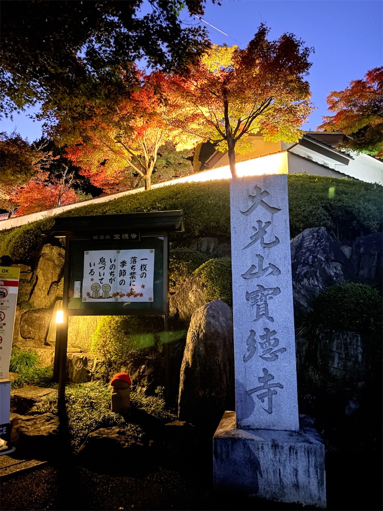 f:id:luminousark:20251125083450j:image