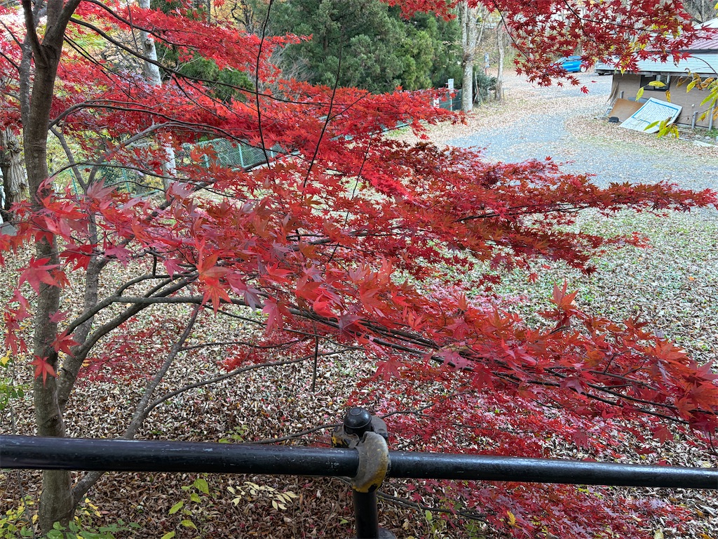 f:id:luminousark:20251125083506j:image