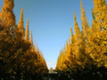 20081201162304