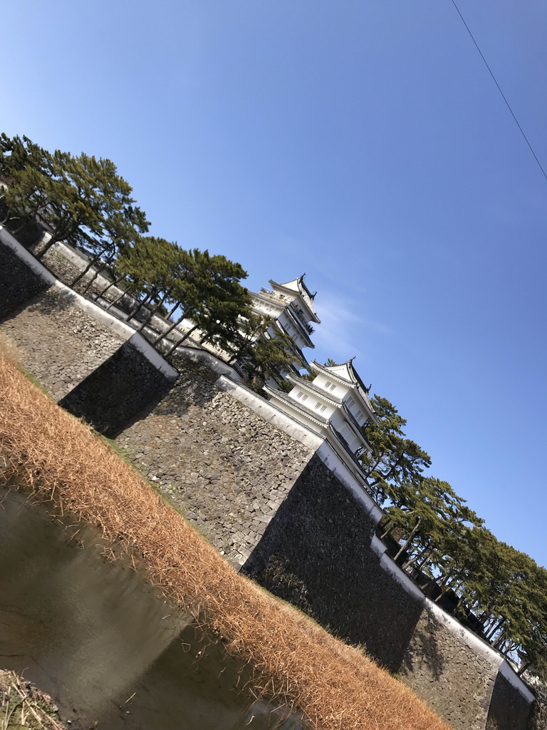 f:id:lumyama:20190212232317j:plain f:id:lumyama:20190212232317j:plain