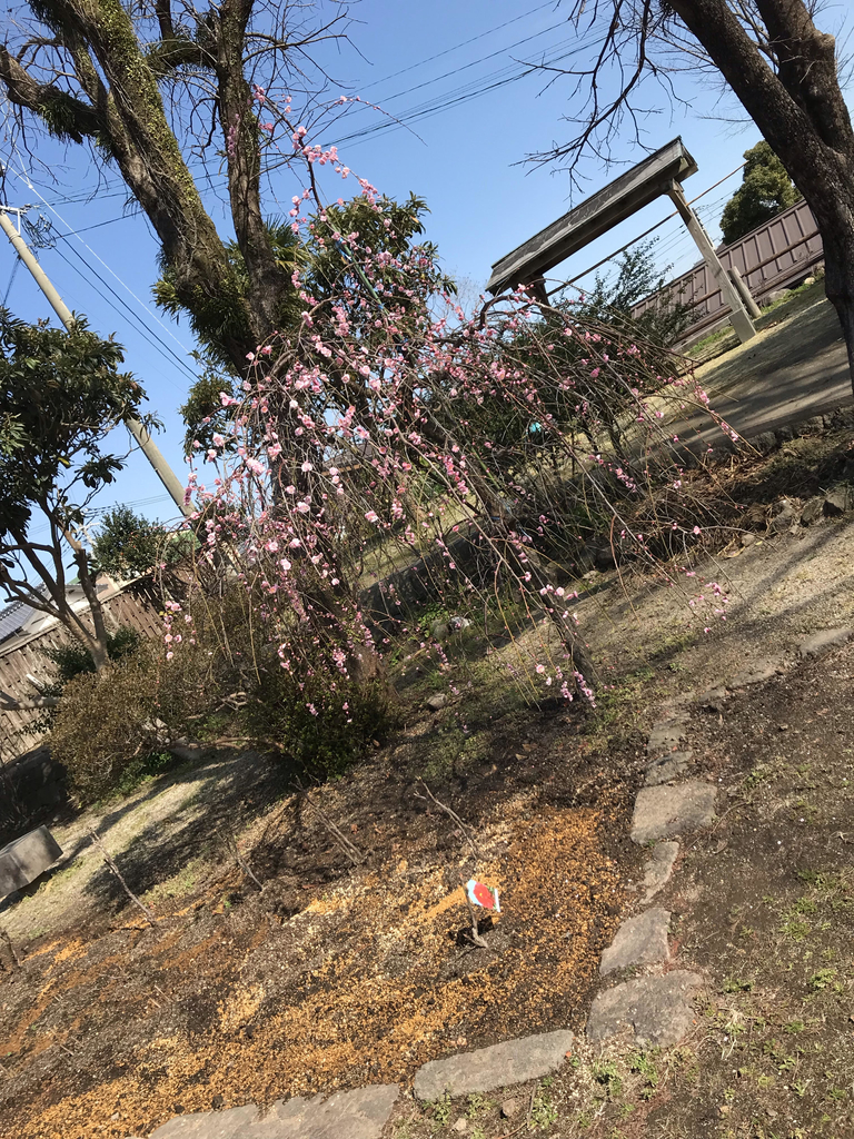 f:id:lumyama:20190212232401j:plain f:id:lumyama:20190212232401j:plain