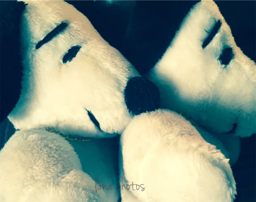 f:id:luna117:20191223104534j:image f:id:luna117:20191223104534j:image