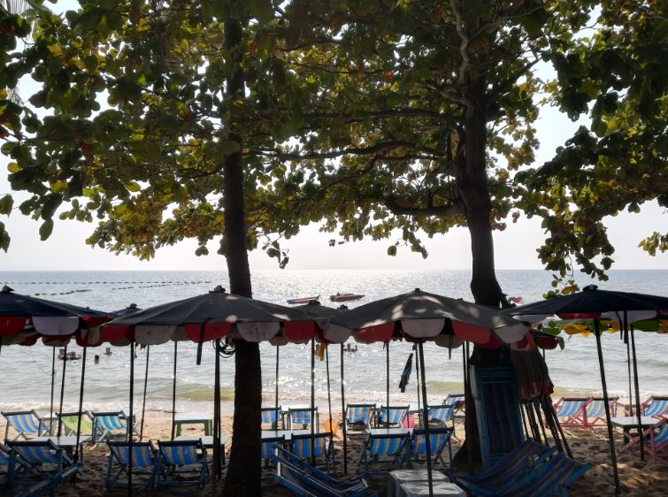 f:id:luna3018:20190203124502j:plain