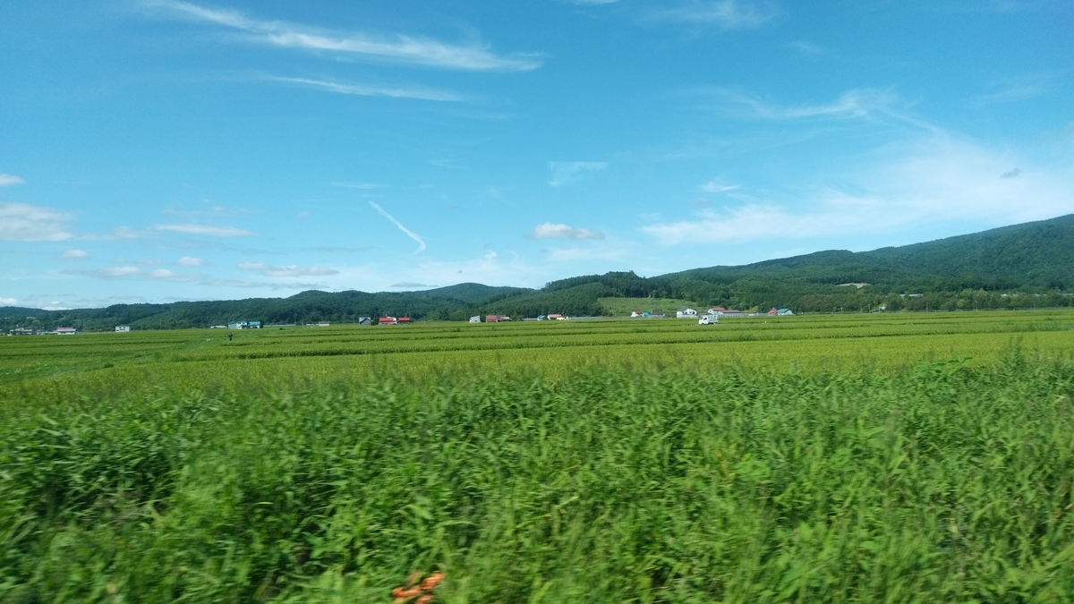 f:id:lunack:20200521095454j:plain f:id:lunack:20200521095454j:plain