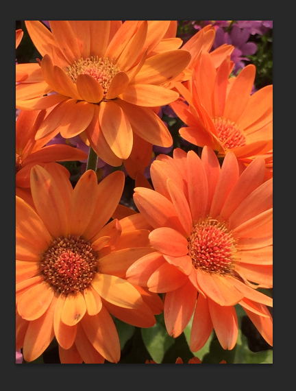 f:id:lunanix:20210215213816j:plain